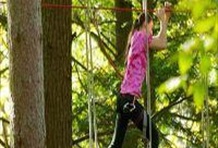 Aerial Treetop Adventures